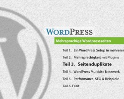 Teil 3: Seitenduplikate Wordpress als CMS Mehrsprachigkeit