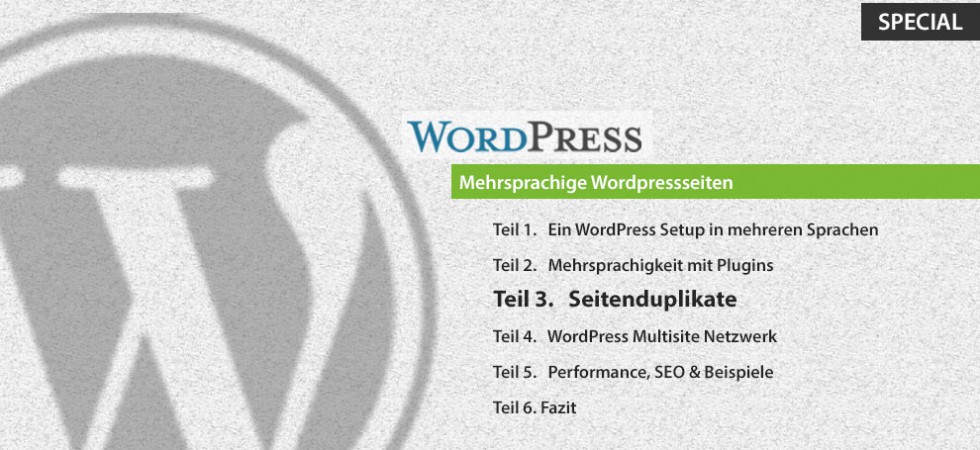 Teil 3: Seitenduplikate Wordpress als CMS Mehrsprachigkeit