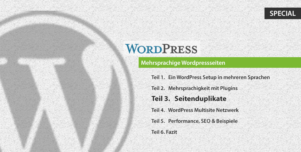 Teil 3. Seiten duplizieren - Jede Sprache eine Wordpress Kopie