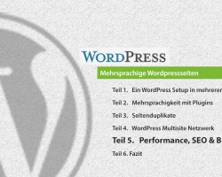 Teil 5: Performance, SEO & Beispiele - Wordpress als CMS Mehrsprachigkeit