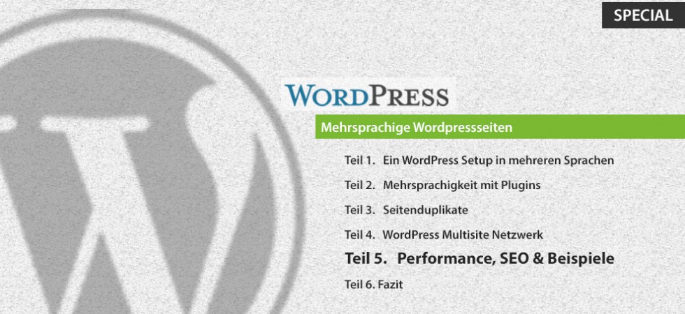 Teil 5: Performance, SEO & Beispiele - Wordpress als CMS Mehrsprachigkeit
