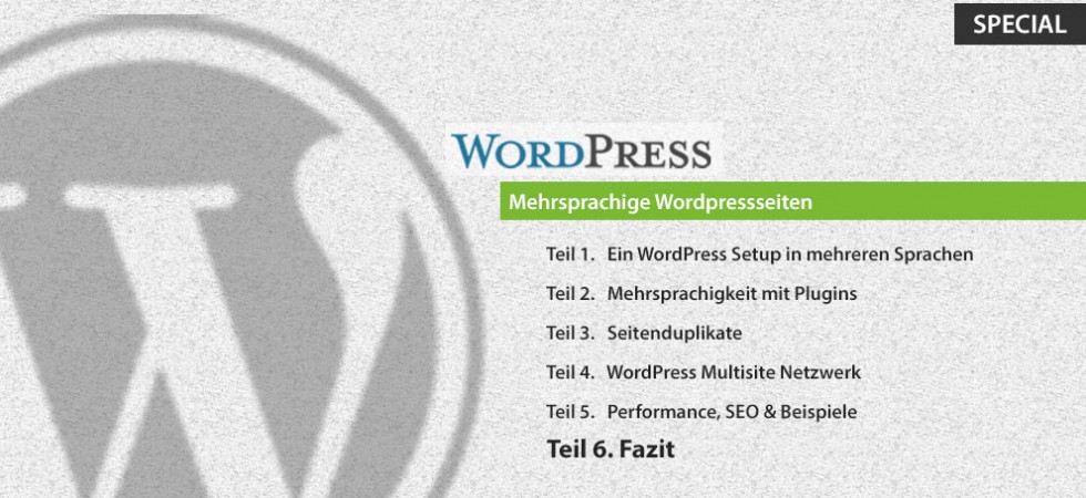 Teil 6. Fazit Wordpress CMS Mehrsprachigkeit