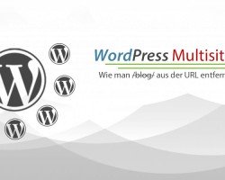 Wordpress Multsite - So entfernt man den Slug /blog/ aus der URL